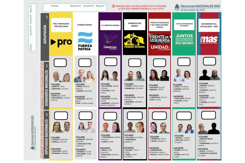 Boleta-Unica-de-Papel-version-Literal-1024x682