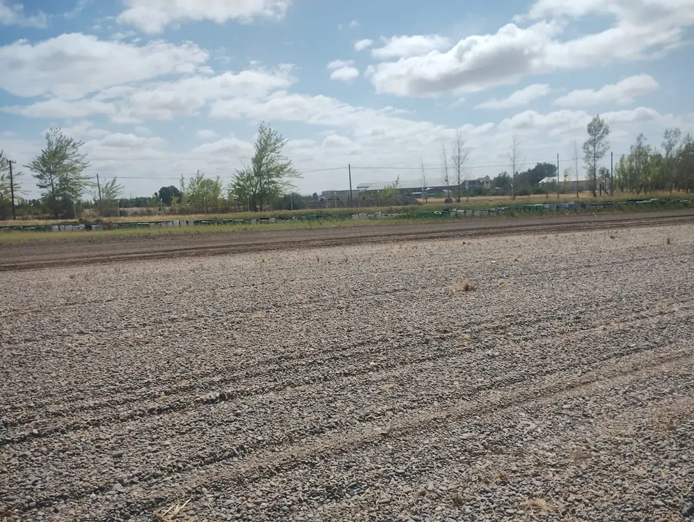 4077ec9e-717c-4088-b548-72c432d77f47