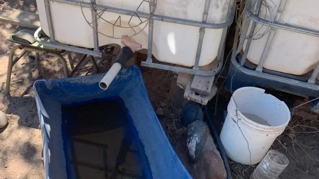 imagen_2026-01-10_130805127