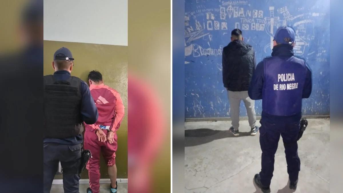 VIEDMA DETENIDOS