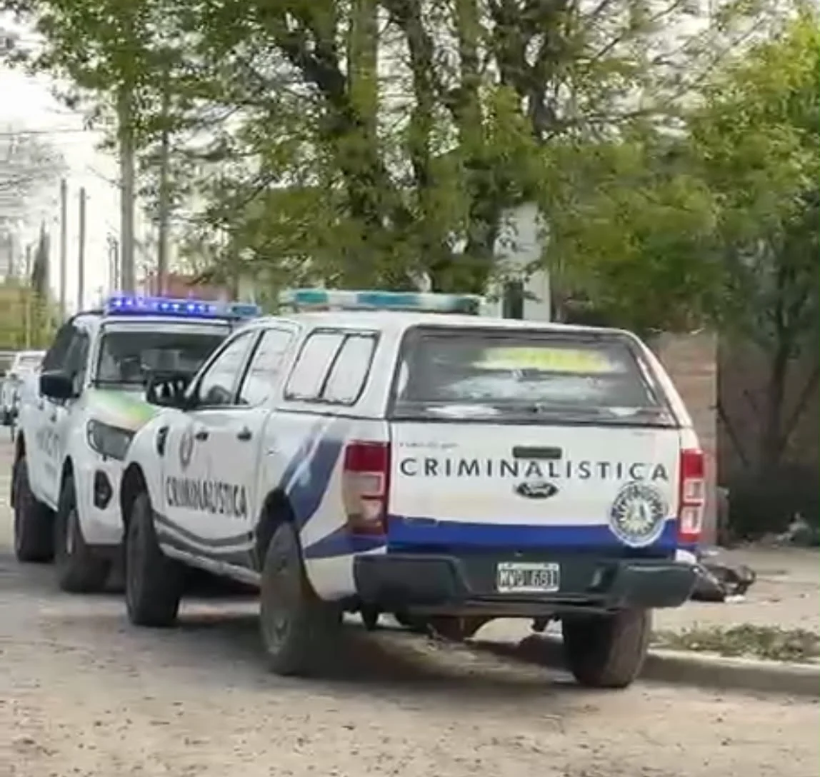 CRIMINALISTICA