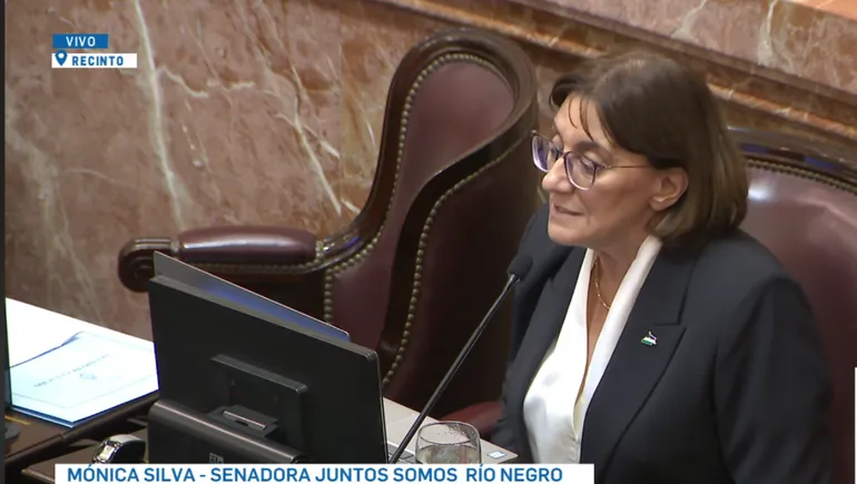 monica-silva-senado