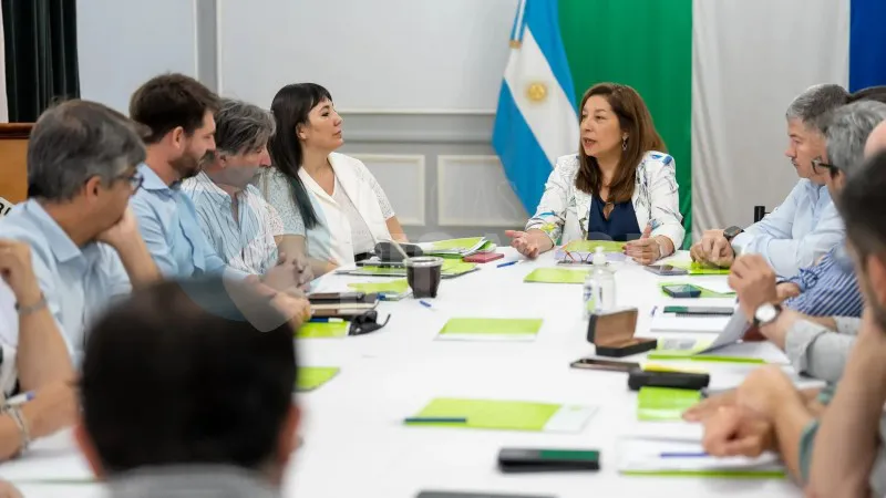 arabela carreras GABINETE