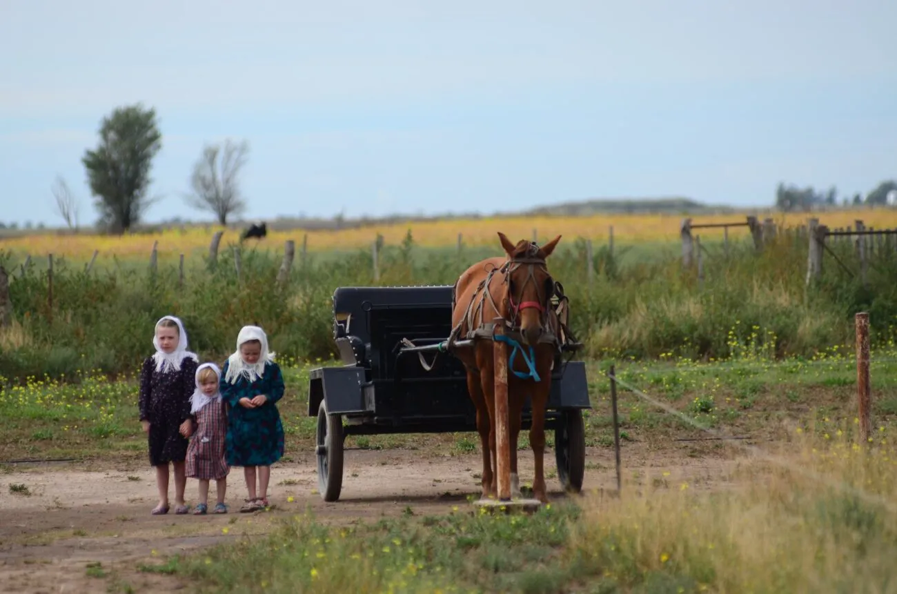 46072375_10155986047153131_861156705377976320_n_10155986047143131-1300x861