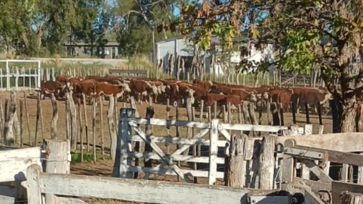 1775648555_a574dab950653f44003e