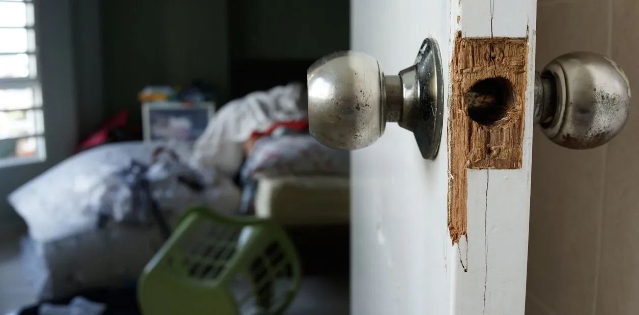 VIVIENDAS CASAS ROBO PUERTA