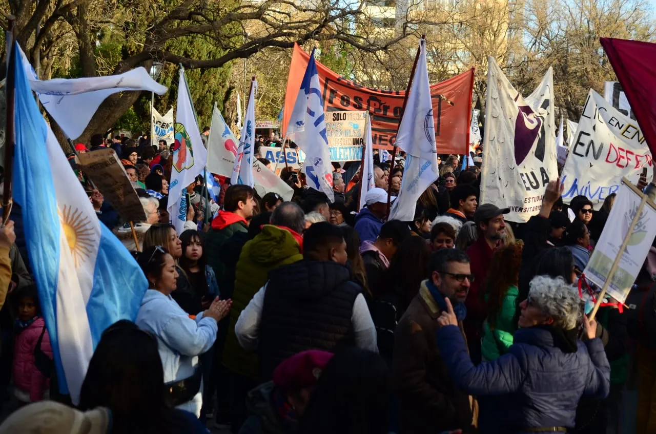 marcha universitaria