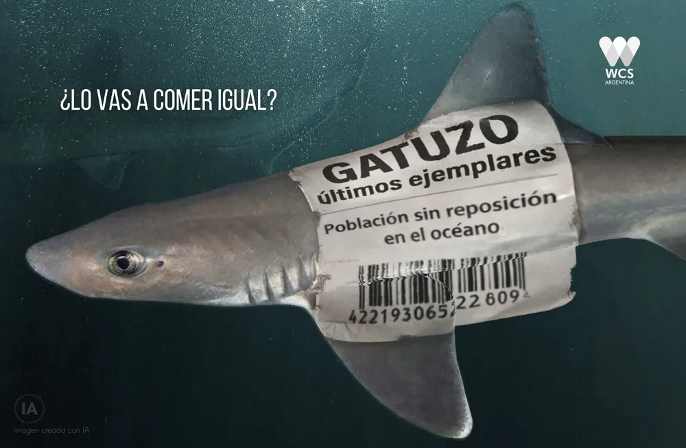 Campaña gatuzo 2026_credito WCS Argentina