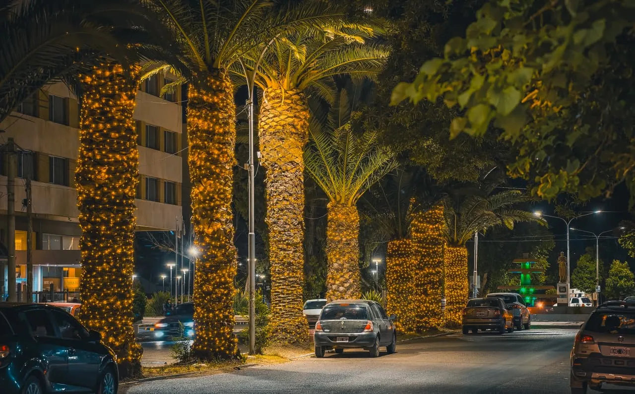 costanera viedma navidad