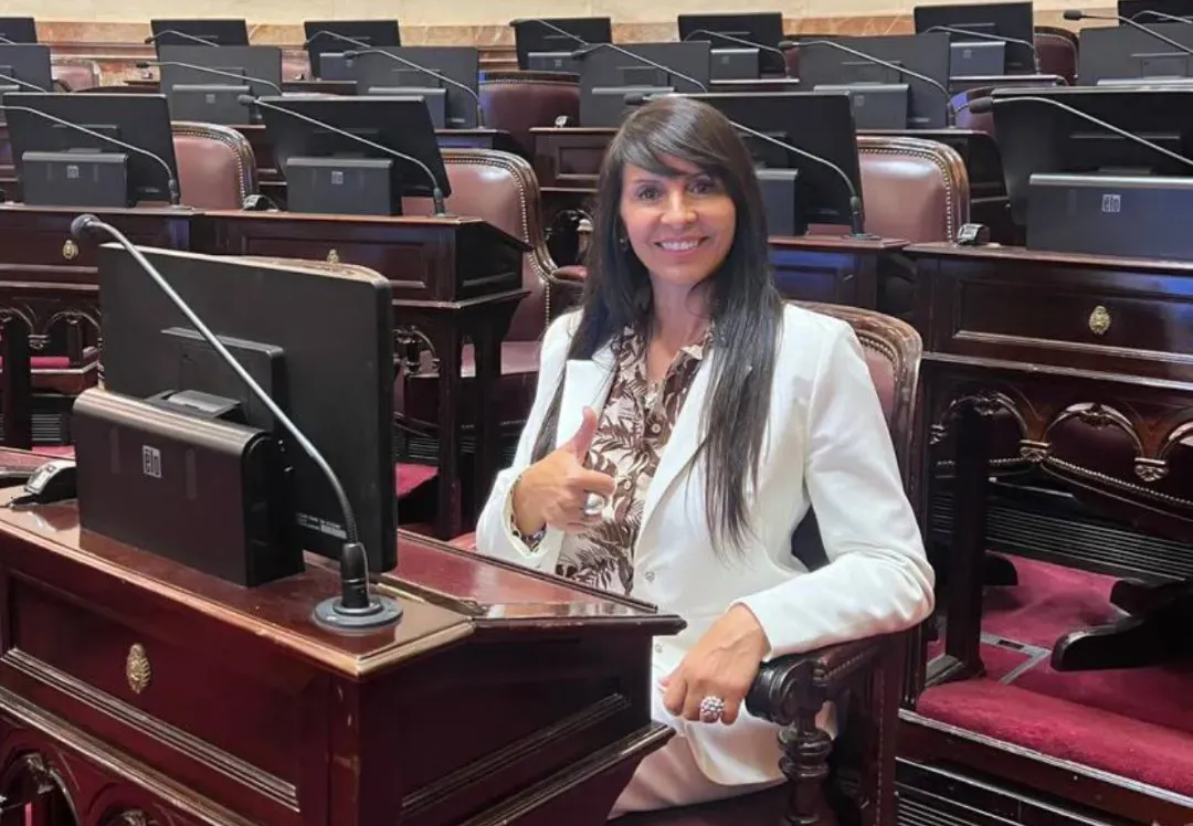 LORENA VILLAVERDE SENADO