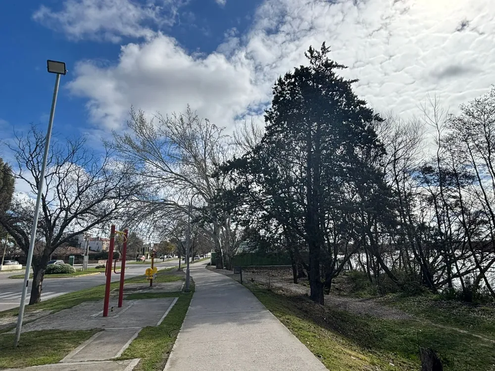 VIEDMA COSTANERA