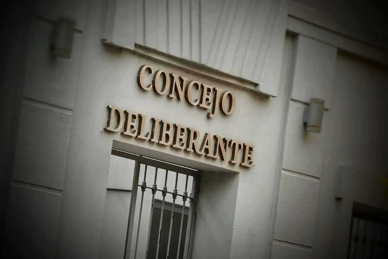 CONCEJO DELIBERANTE VIEDMA