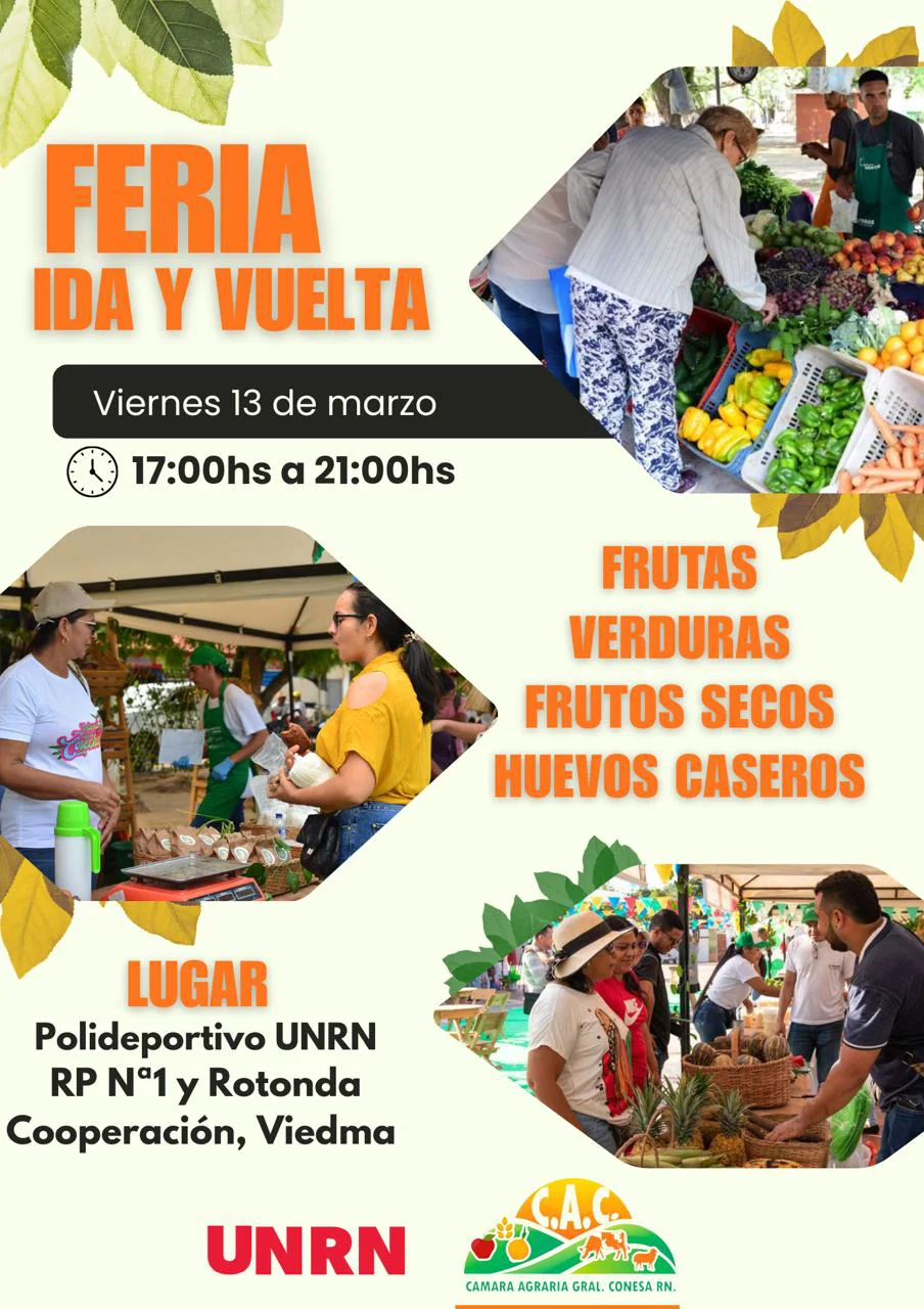 650249023_1540335821429567_8004949576402845638_n