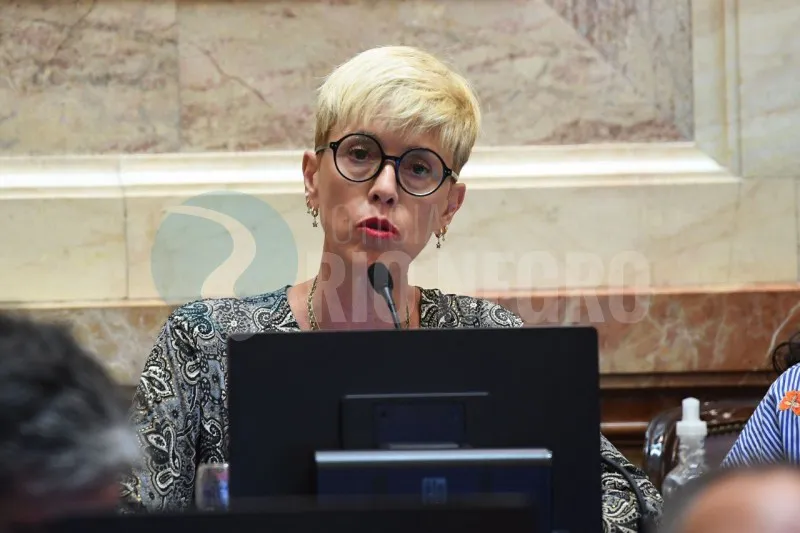 silvina garcia larraburu