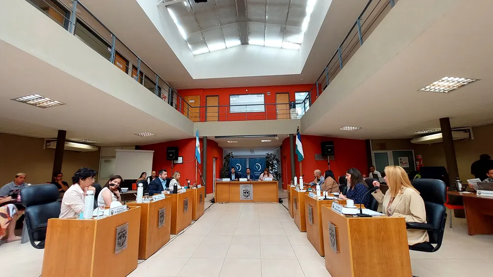 VIEDMA, CONCEJO DELIBERANTE, SESION