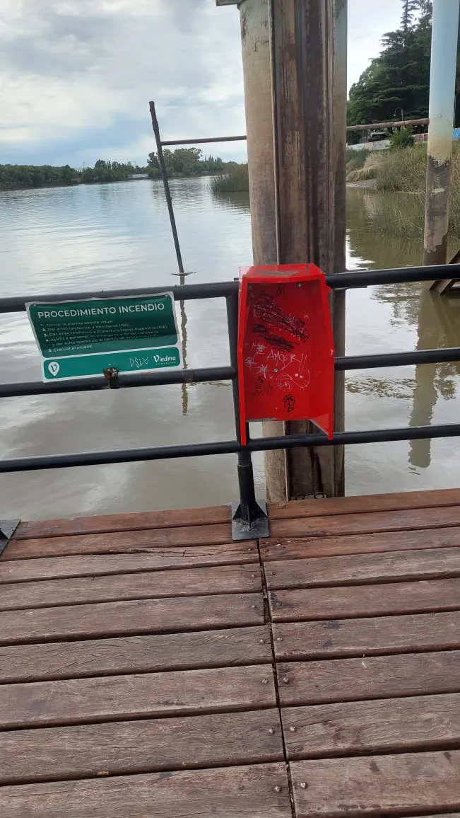 VIEDMA VANDALISMO MUELLE