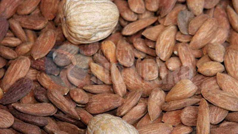 frutos secos