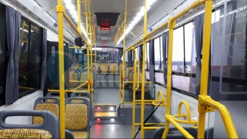 COLECTIVO