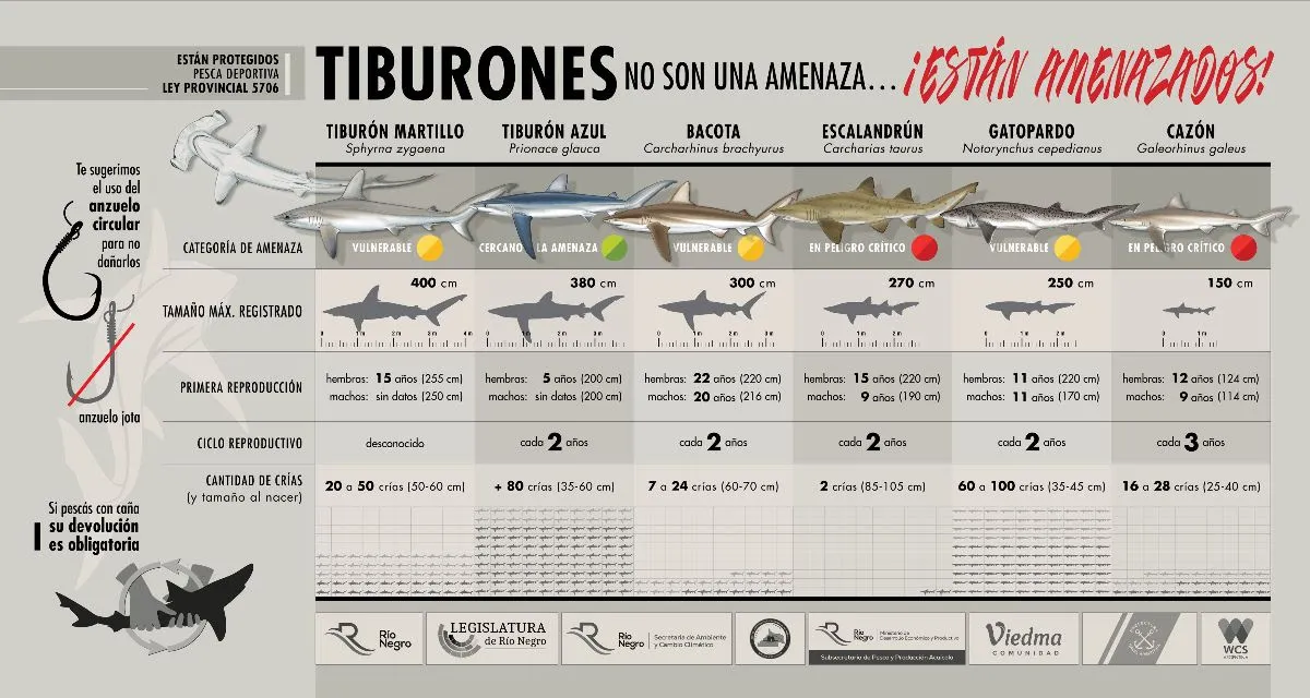 TIBURONES