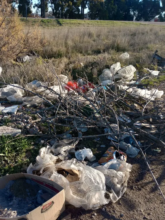 VIEDMA, BASURAL, ACCESO SUR