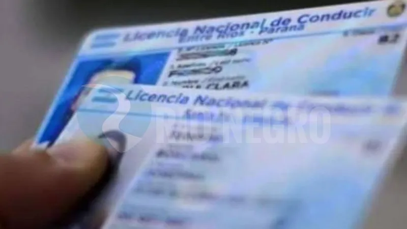 licencia de conducir